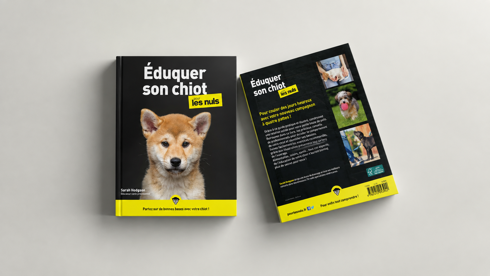 Édition illustrée